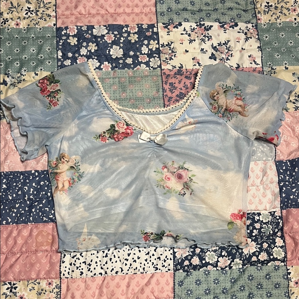 Source Unknown Blue Floral Cherub Crop Top